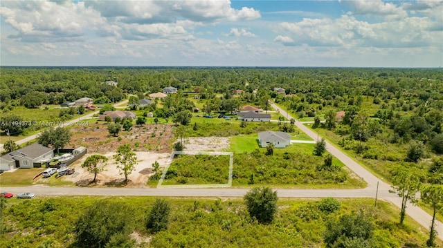 1 E 9th, Lehigh Acres, FL 33972 - photo 4
