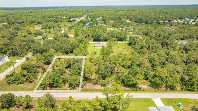 1 E 9th, Lehigh Acres, FL 33972 - photo 22
