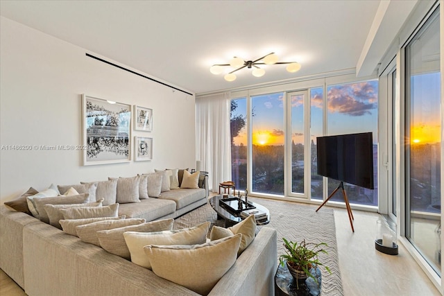 living room with a healthy amount of sunlight, expansive windows, and light wood-type flooring