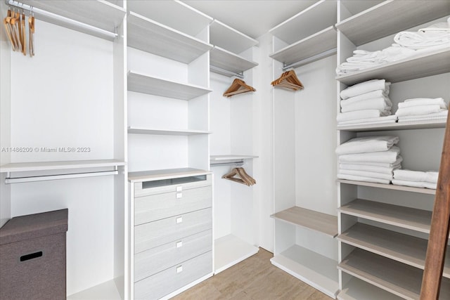 spacious closet featuring hardwood / wood-style floors