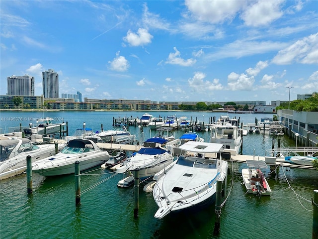 view of dock featuring a water view