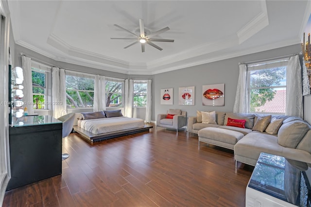 bedroom featuring a tray ceiling, ceiling fan, crown molding, and dark hardwood / wood-style floors