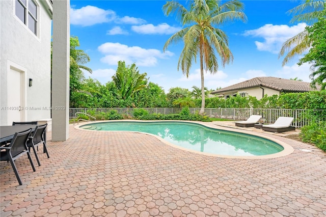 view of pool featuring a patio area