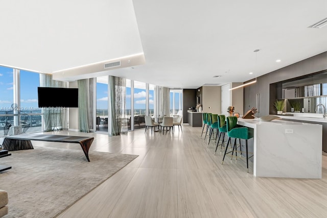 living room with expansive windows