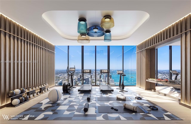 workout area featuring a tray ceiling, a water view, and a wall of windows