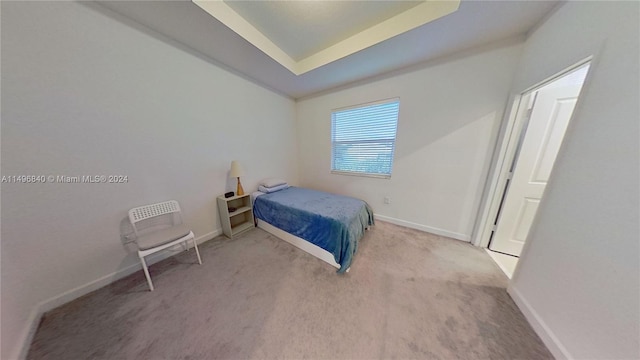 bedroom with a tray ceiling and carpet floors