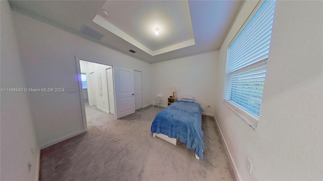 carpeted bedroom featuring a tray ceiling