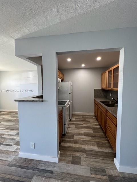 kitchen with a textured ceiling, range, sink, and dark wood-type flooring