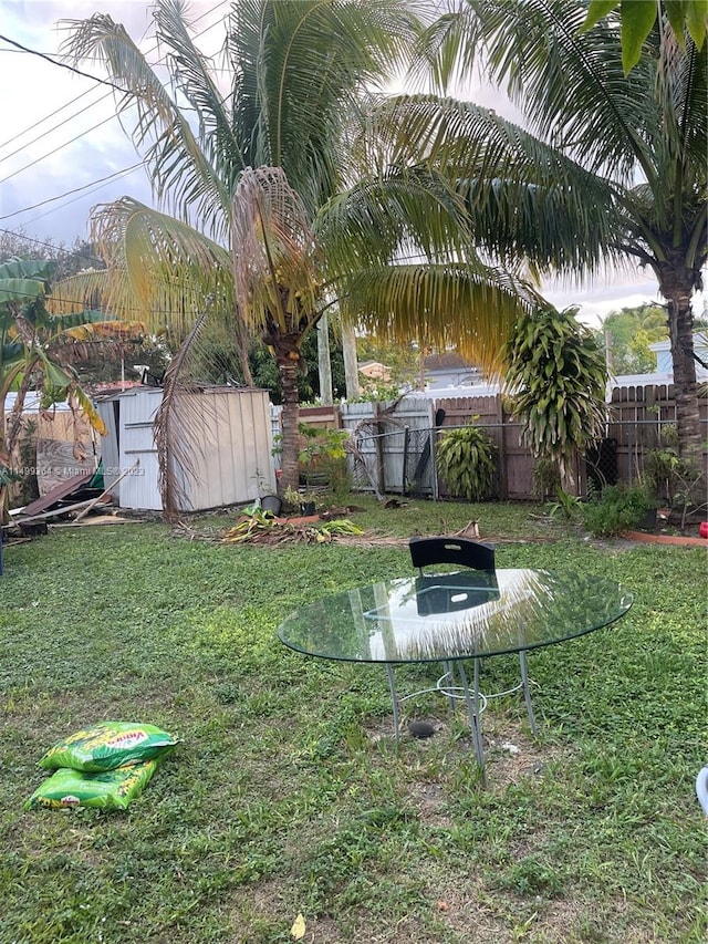 view of yard with a shed