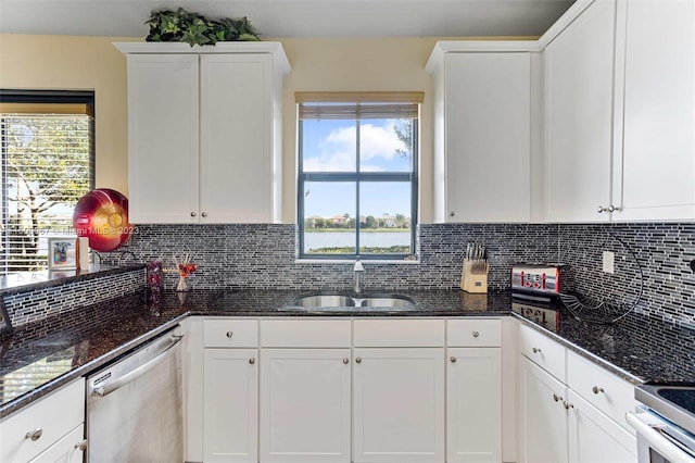 kitchen featuring stainless steel dishwasher, decorative backsplash, white cabinetry, and sink