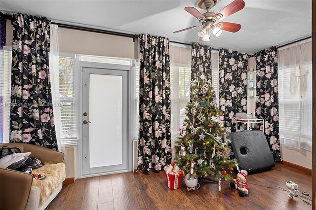 foyer entrance featuring dark wood-type flooring and ceiling fan