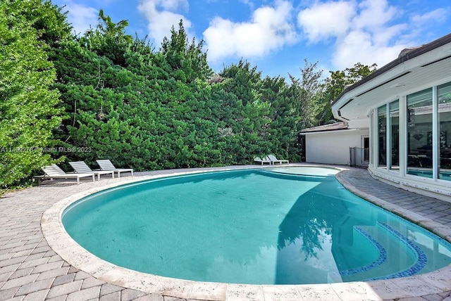 view of swimming pool with a patio area