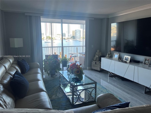 living room featuring hardwood / wood-style flooring