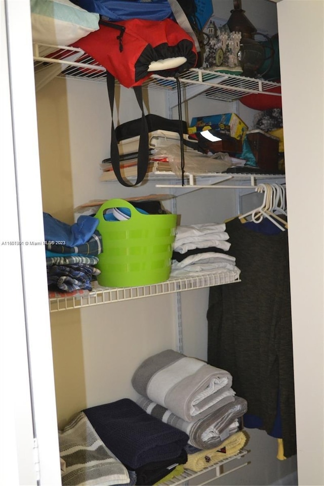 view of closet