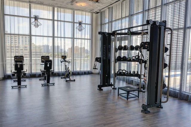 workout area with floor to ceiling windows, hardwood / wood-style floors, and a towering ceiling