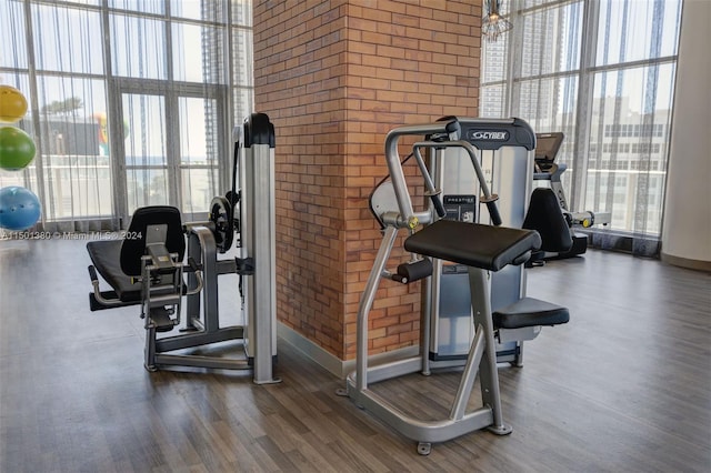 workout area with a high ceiling, hardwood / wood-style floors, a wall of windows, and a wealth of natural light