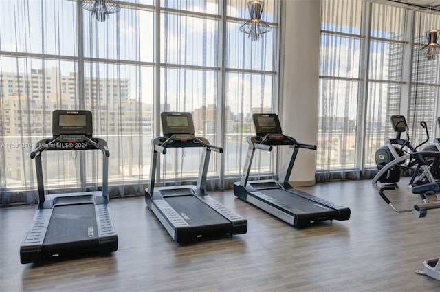 exercise room featuring hardwood / wood-style floors, floor to ceiling windows, and a wealth of natural light