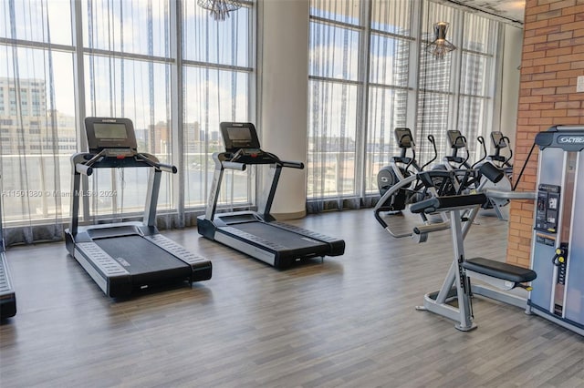 workout area featuring expansive windows, hardwood / wood-style floors, and a towering ceiling