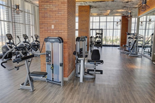 workout area with expansive windows and hardwood / wood-style flooring