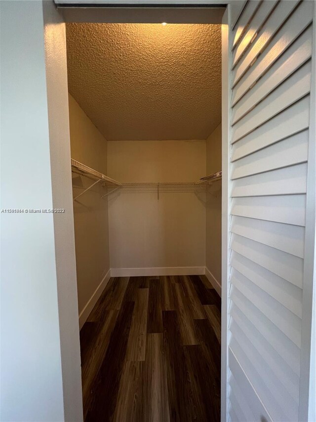 walk in closet with hardwood / wood-style flooring