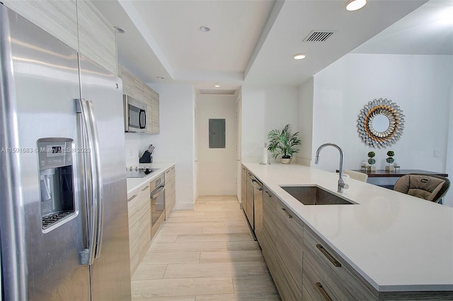 kitchen with appliances with stainless steel finishes, light hardwood / wood-style floors, and sink