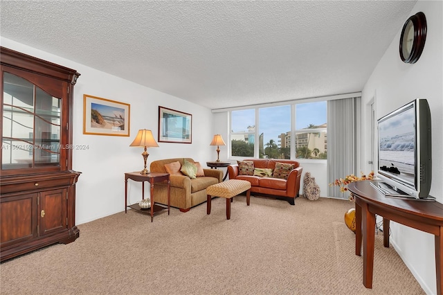 carpeted living room with a textured ceiling