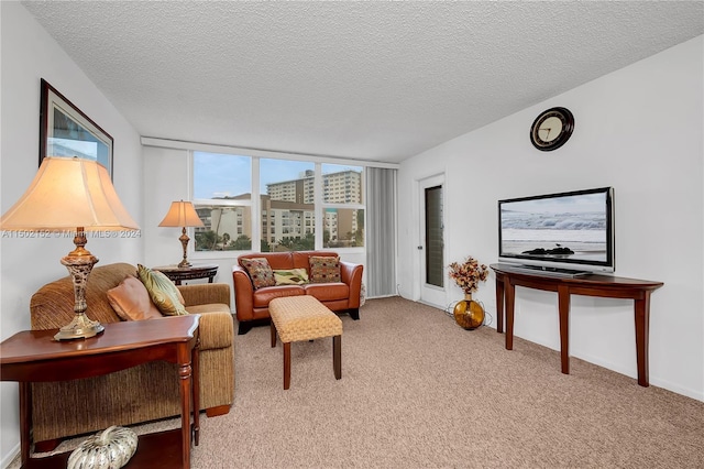 living room featuring carpet and a textured ceiling