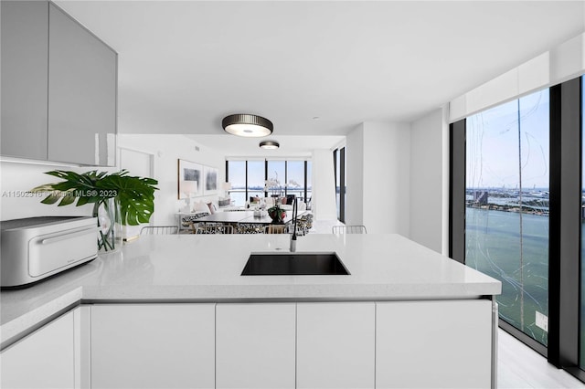 kitchen with sink and white cabinets