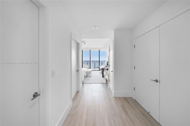 corridor featuring floor to ceiling windows and light hardwood / wood-style flooring