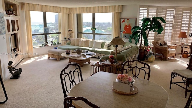 carpeted dining area with plenty of natural light