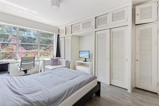 bedroom featuring multiple closets and hardwood / wood-style floors