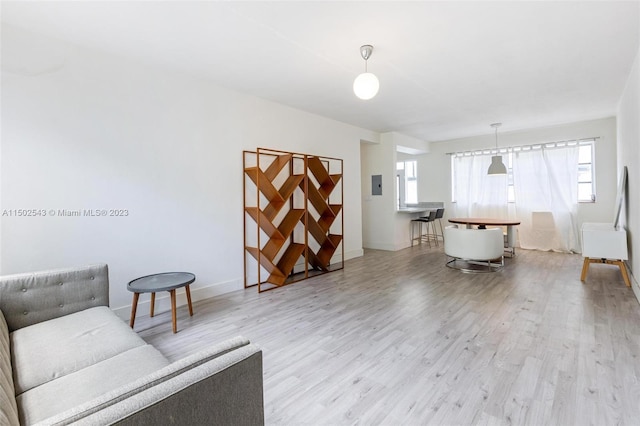 living room featuring light hardwood / wood-style floors