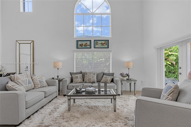 living room with a high ceiling