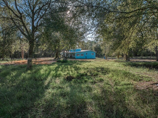 104 Ballard, Avon Park, FL 33825 - view of yard