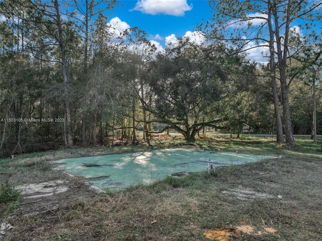 104 Ballard, Avon Park, FL 33825 - view of yard