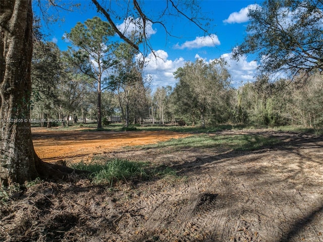 104 Ballard, Avon Park, FL 33825 - view of wooded area