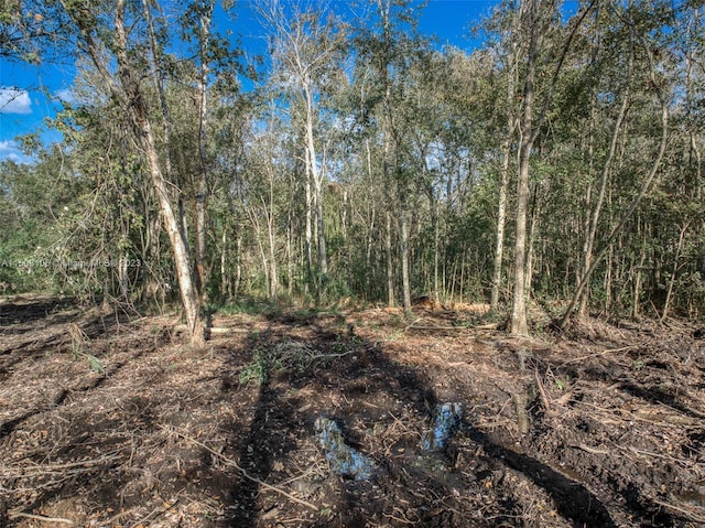 104 Ballard, Avon Park, FL 33825 - view of undeveloped land