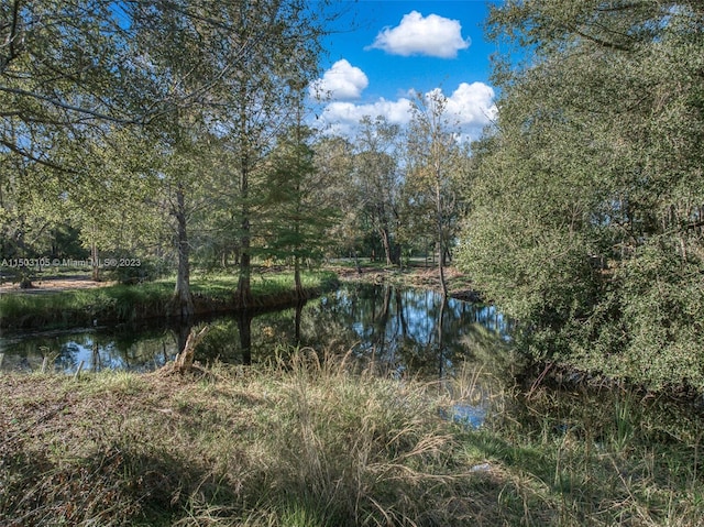 water view