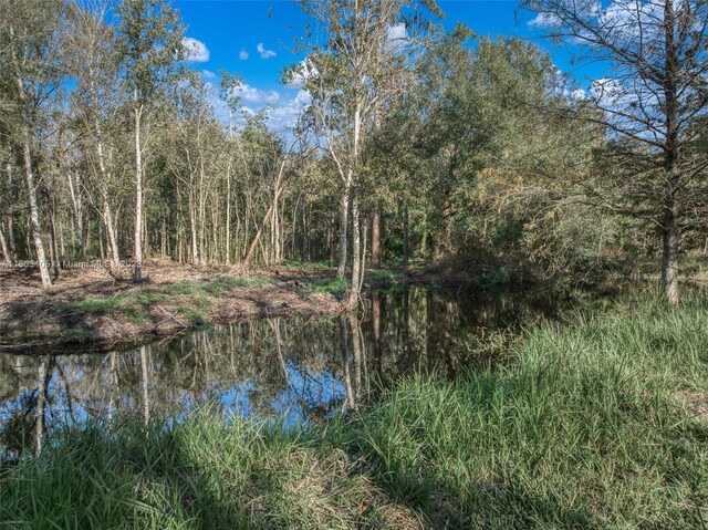 104 Ballard, Avon Park, FL 33825 - water view featuring a forest