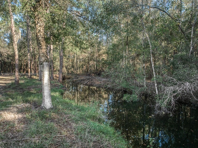 view of local wilderness featuring a water view