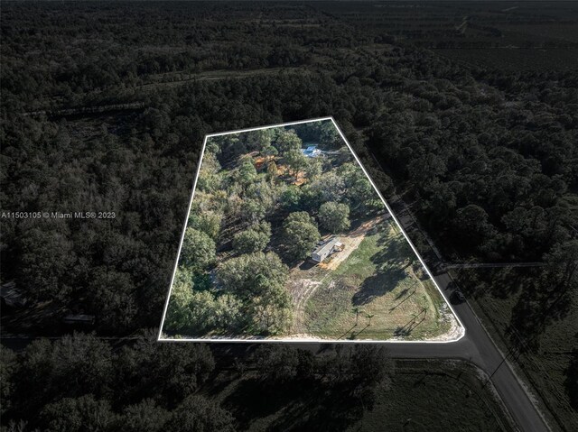 104 Ballard, Avon Park, FL 33825 - aerial view of property and surrounding area with property parcel outlined and a heavily wooded area