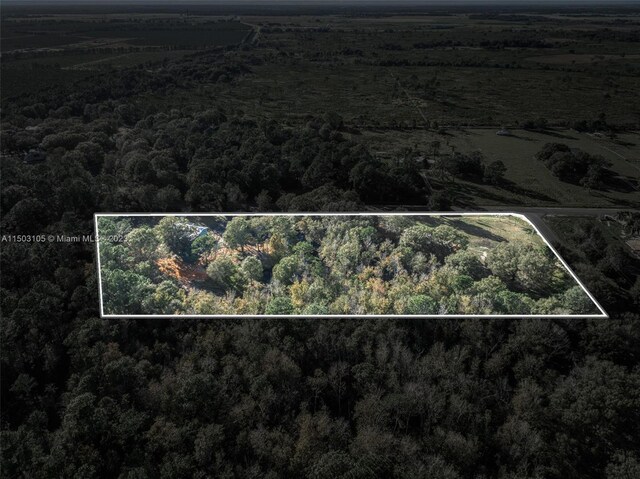 104 Ballard, Avon Park, FL 33825 - view of property location featuring property parcel outlined and a heavily wooded area