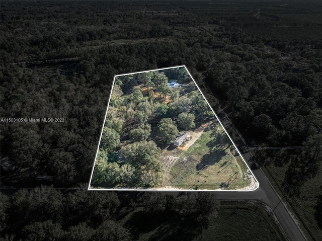 104 Ballard, Avon Park, FL 33825 - aerial overview of property's location with property parcel outlined and a forest