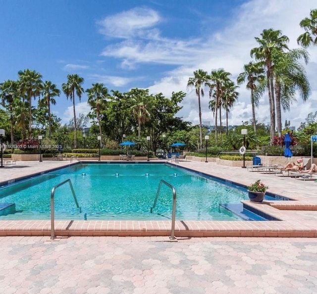 view of swimming pool