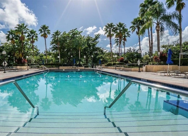 view of swimming pool