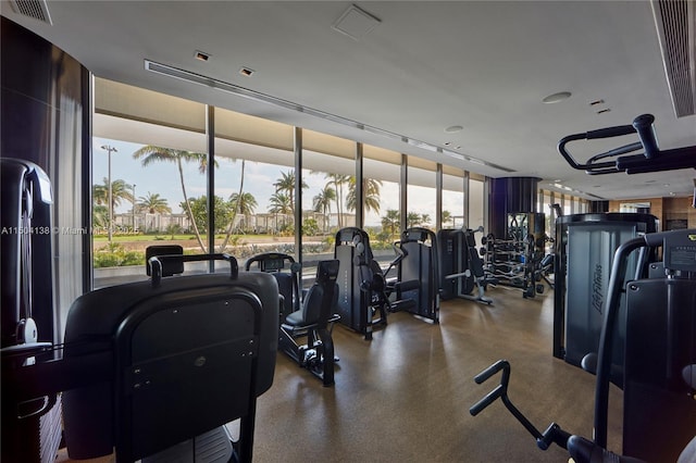 workout area featuring a wall of windows