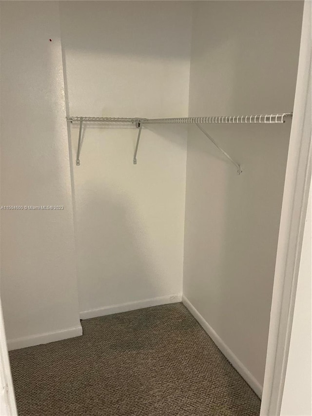 walk in closet featuring carpet