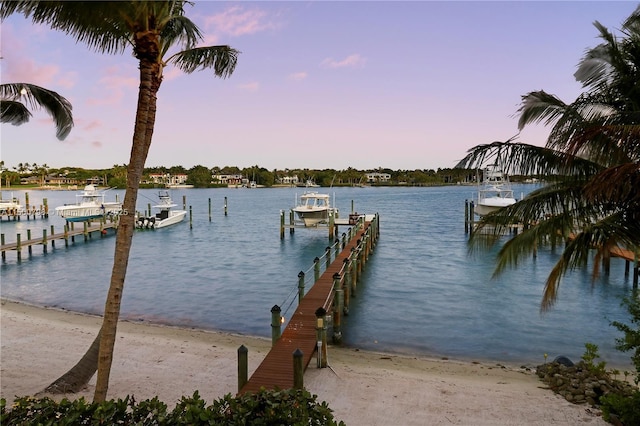 dock area featuring a water view