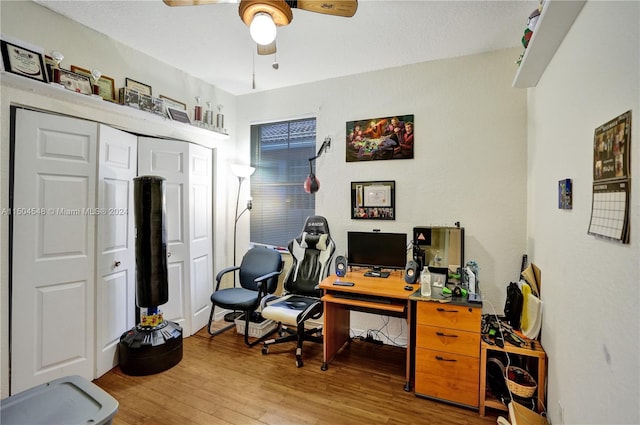 office space with light hardwood / wood-style flooring and ceiling fan