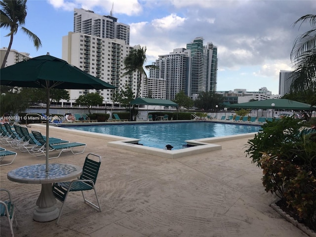 view of pool featuring a patio